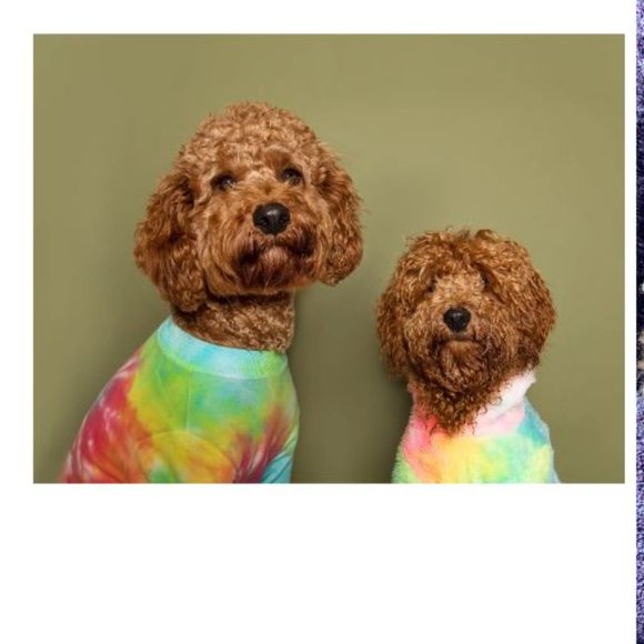 Rainbow Tie-Dye Dog Tee LOVETHYBEAST - NEW LARGE - Picture 6 of 6